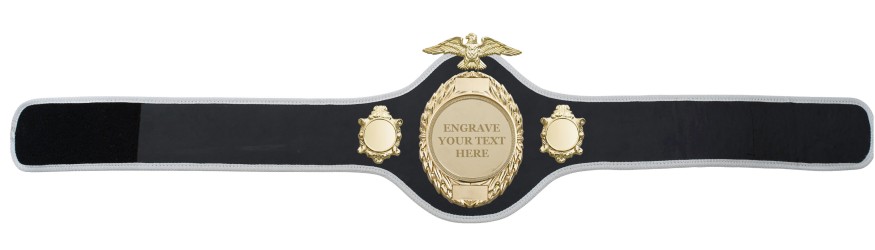 CHAMPIONSHIP BELT-PRO288/G/ENGRAVE - 10 COLOURS